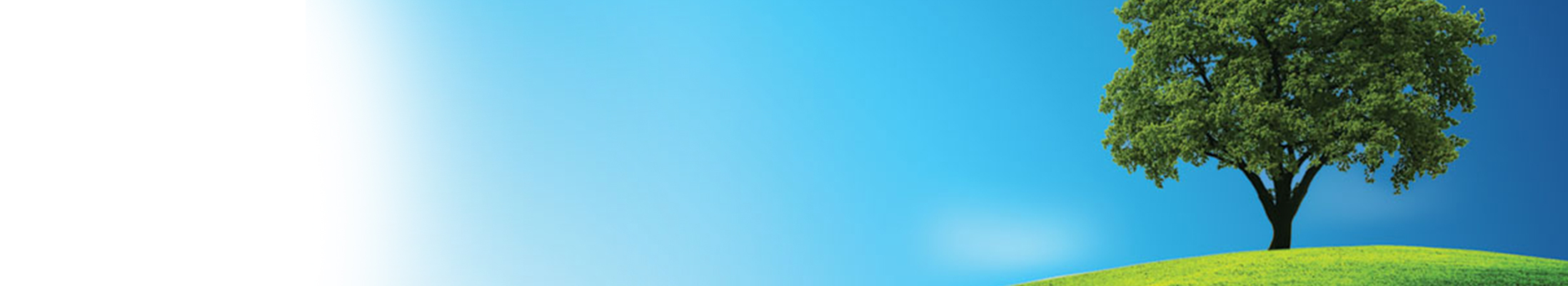 Sustainability image